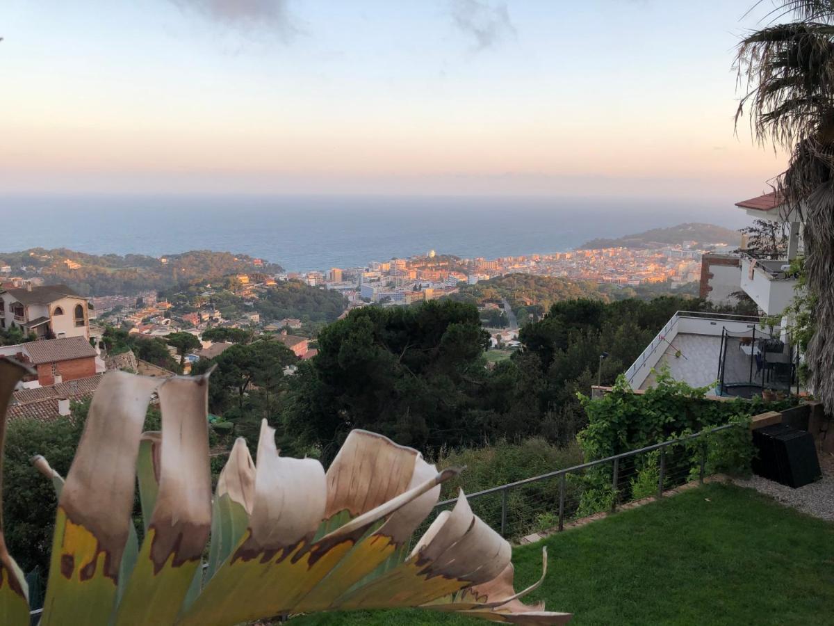 Villa Oasis Costa Brava Льорет-де-Мар Экстерьер фото