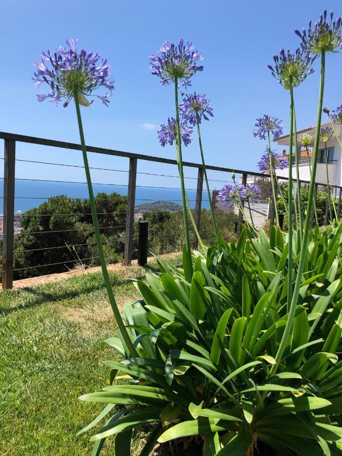Villa Oasis Costa Brava Льорет-де-Мар Экстерьер фото